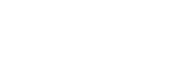 bordados